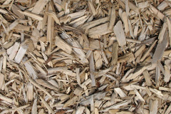 biomass boilers Tilley